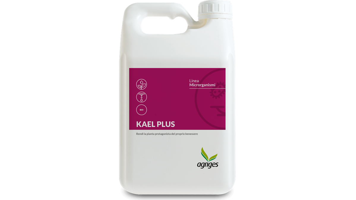 KAEL PLUS agriges bioestimulación avanzada (1).png